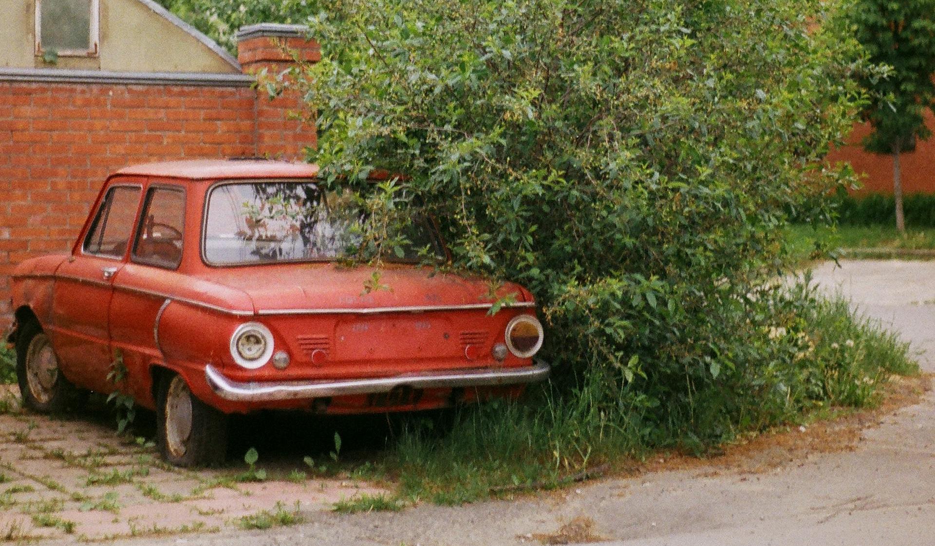 PPC Case Study: Olympia Cash For Junk Cars - Google Ads Campaign Optimization